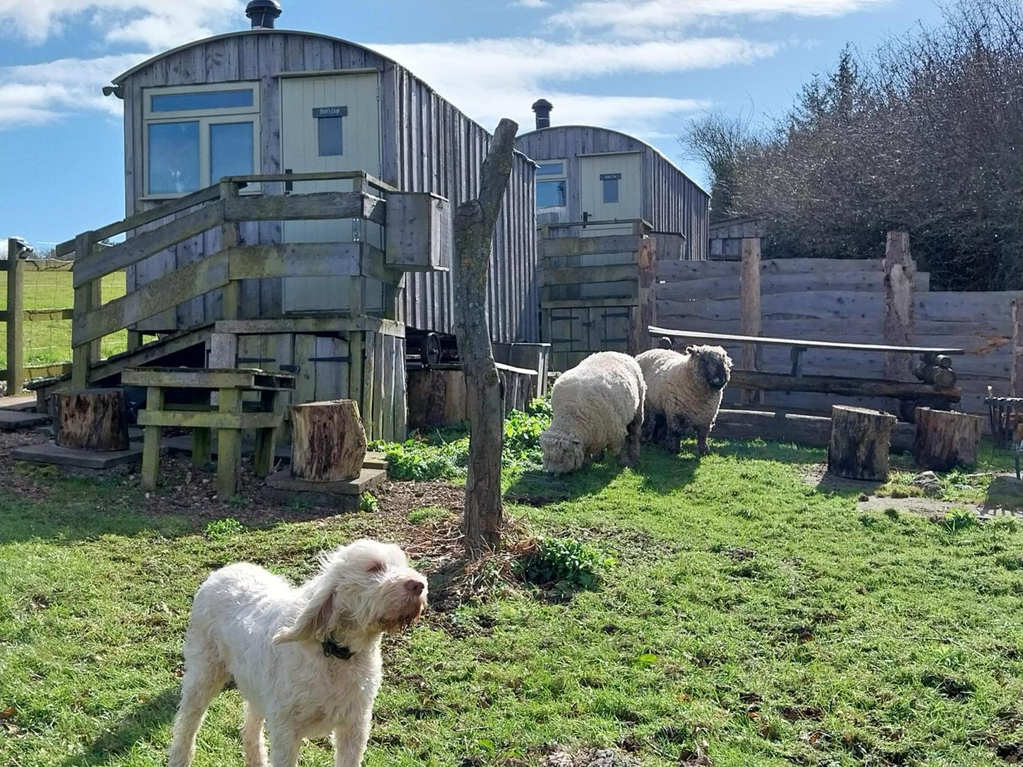 Meadowbeck - Shepherd Huts Fylingdales Экстерьер фото